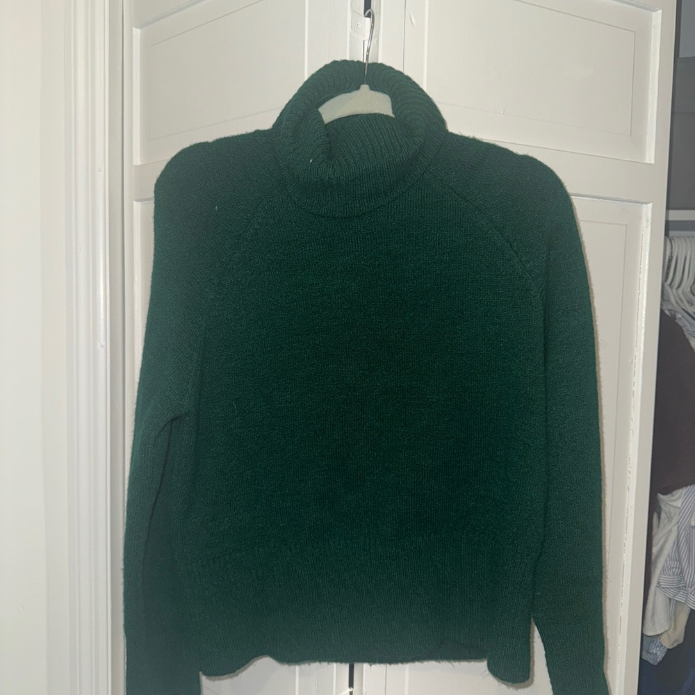 Zara Deep Green Turtleneck Sweater